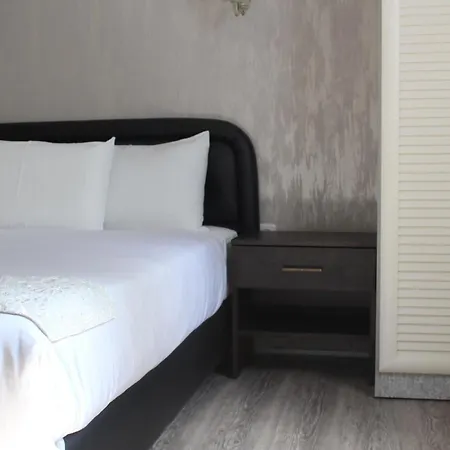 Hotel Alma - Near The Sea-3